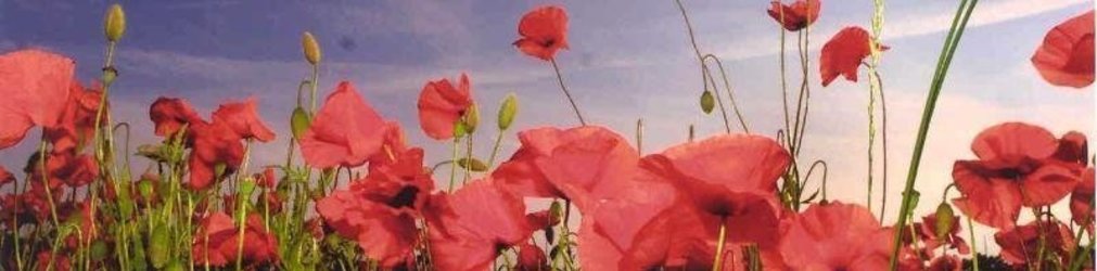 Remembrance Day fund raiser will launch final year of Normandy Veterans Association