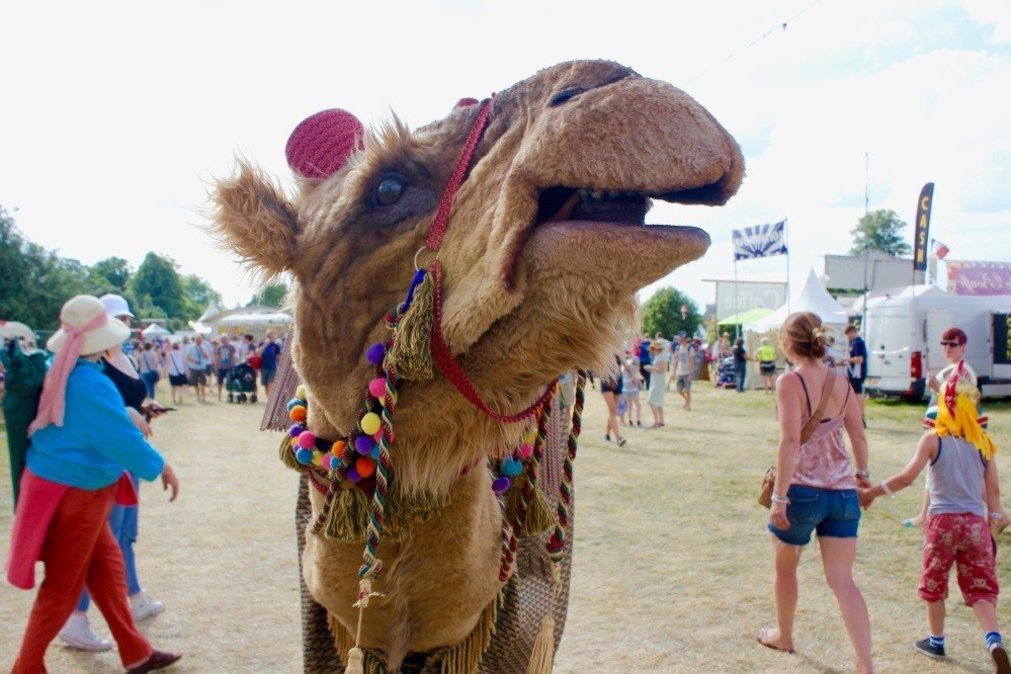 Giant birds, stiltwalkers and a camel to invade Hull's streets